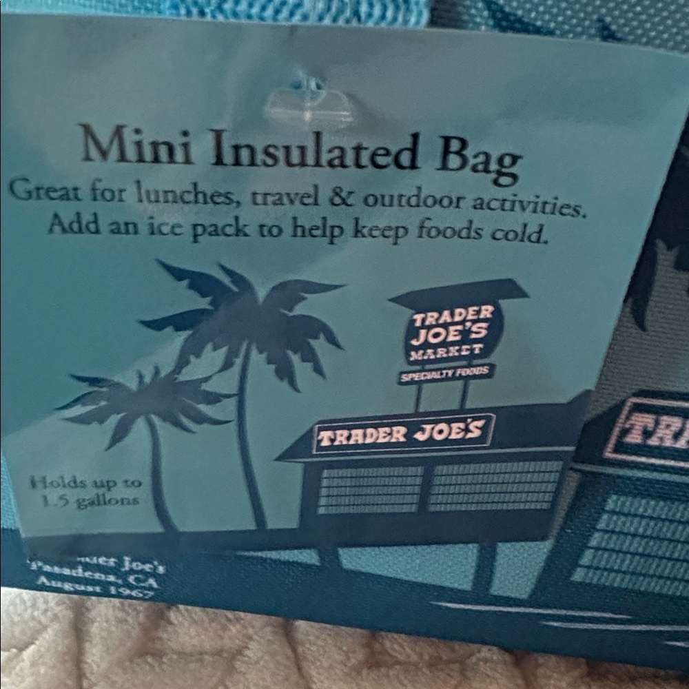 Trader Joe’s mini cooler bag